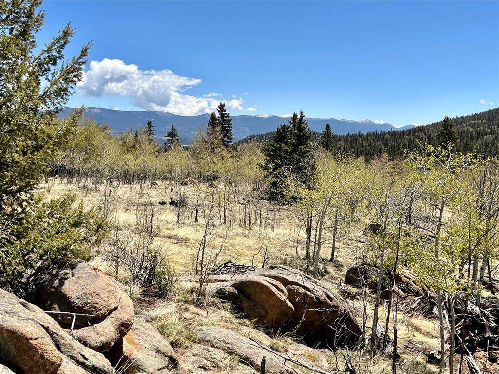 201 Kodiak Road - Photo 1
