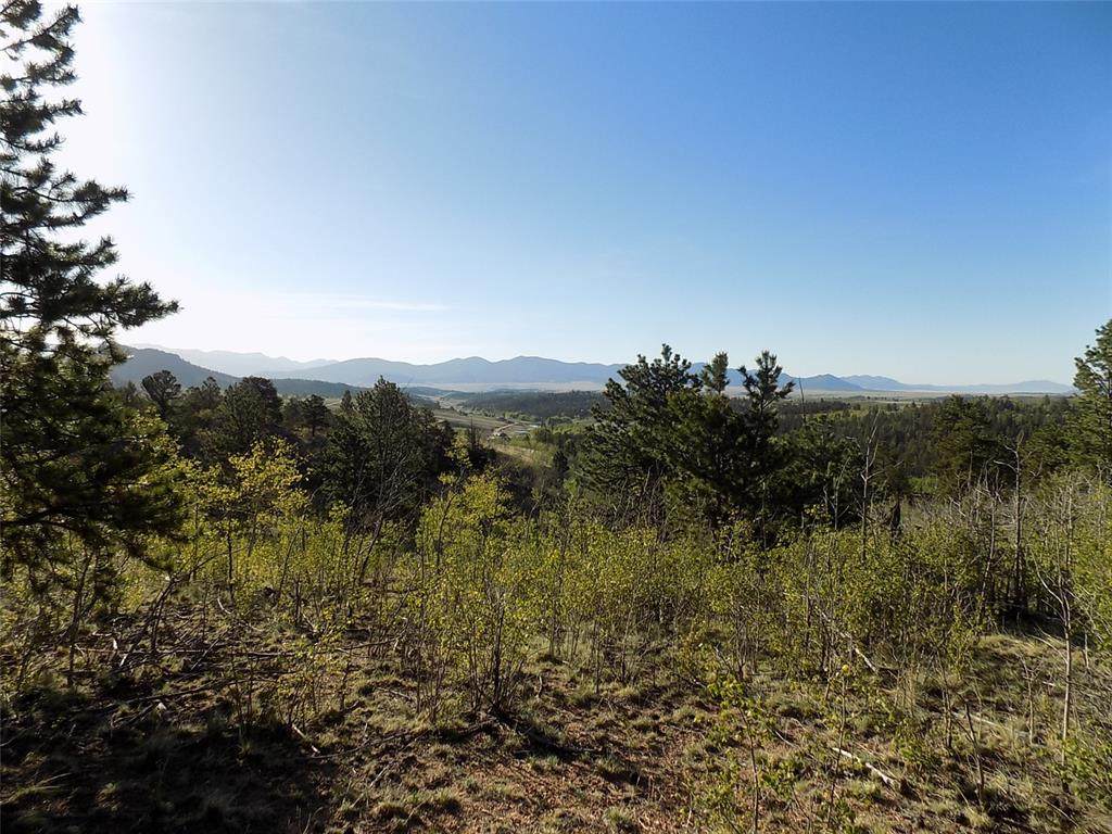 187 Osprey Road - Photo 1