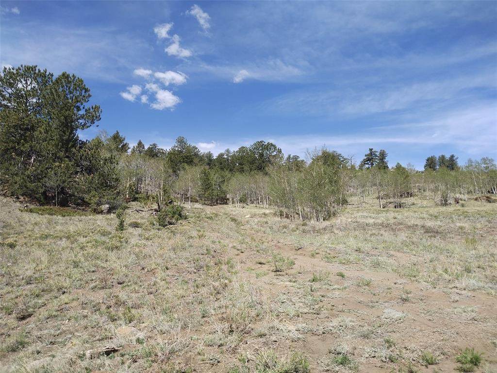 1737 Athapascan Road - Photo 1