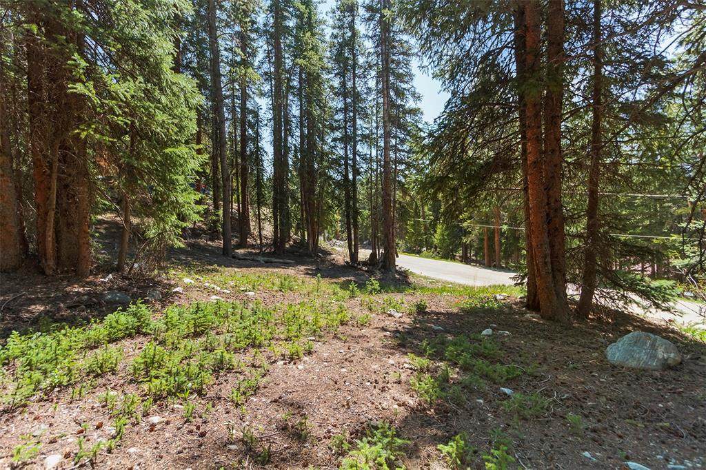 316 Tordal Way - Photo 1