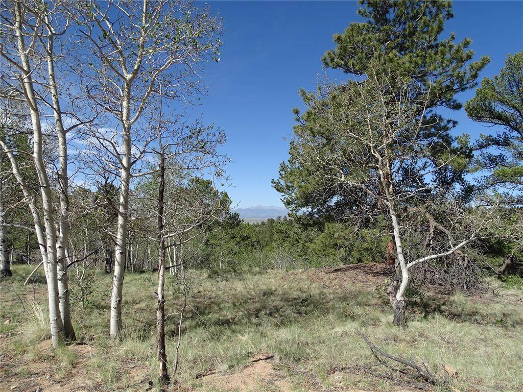 445 Bob White Circle - Photo 1