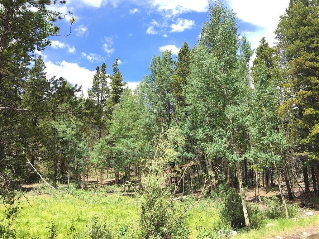 1050 Rollies Trail - Photo 1