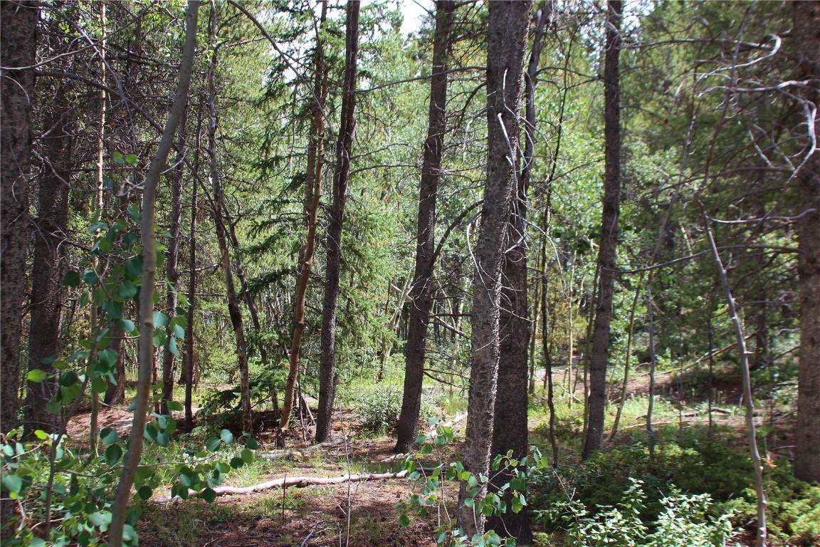 TBD Spruce Street - Photo 1