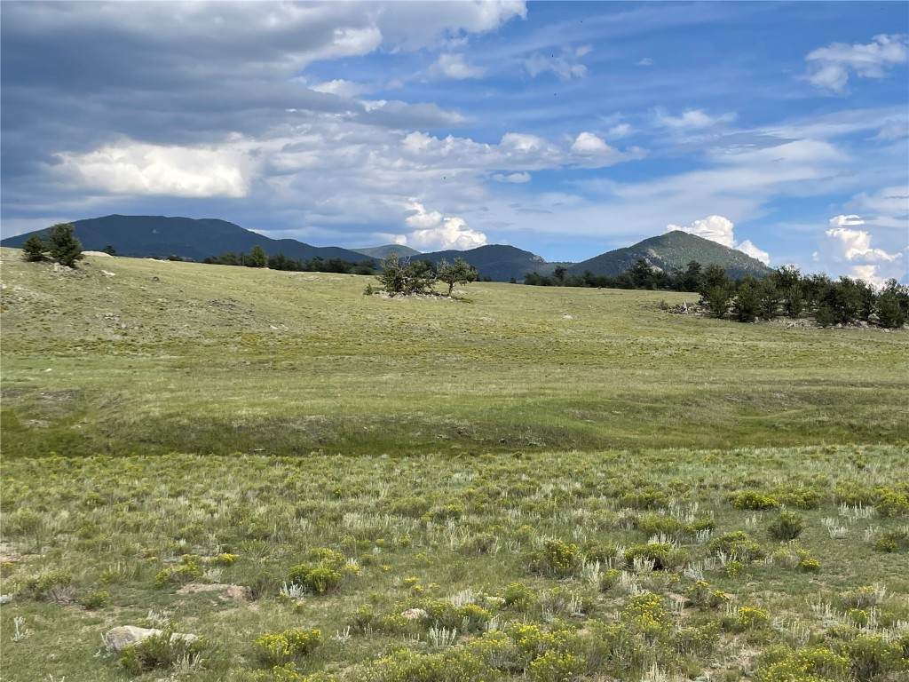 1584 Ute Trace - Photo 1