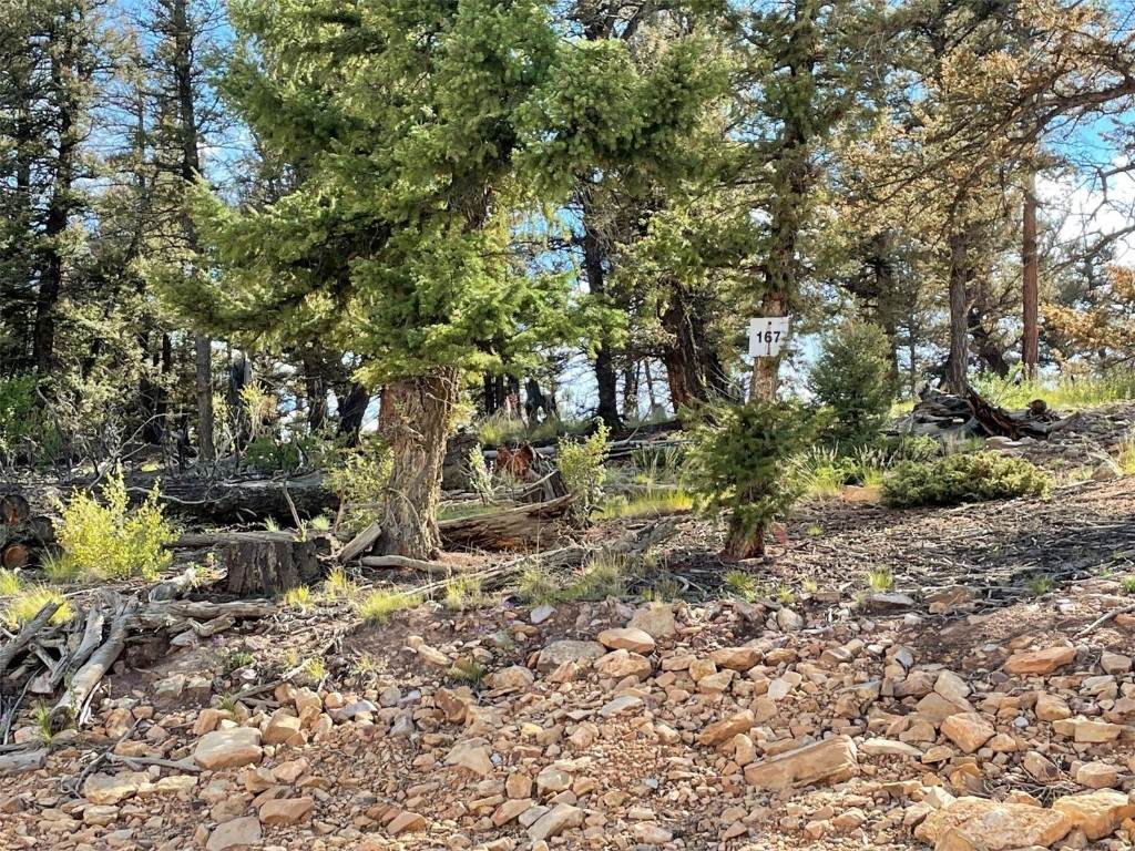 1735 Middle Fork Vista - Photo 1