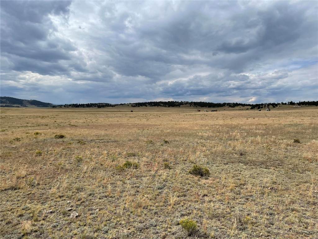 1167 Cheyenne Trail - Photo 1
