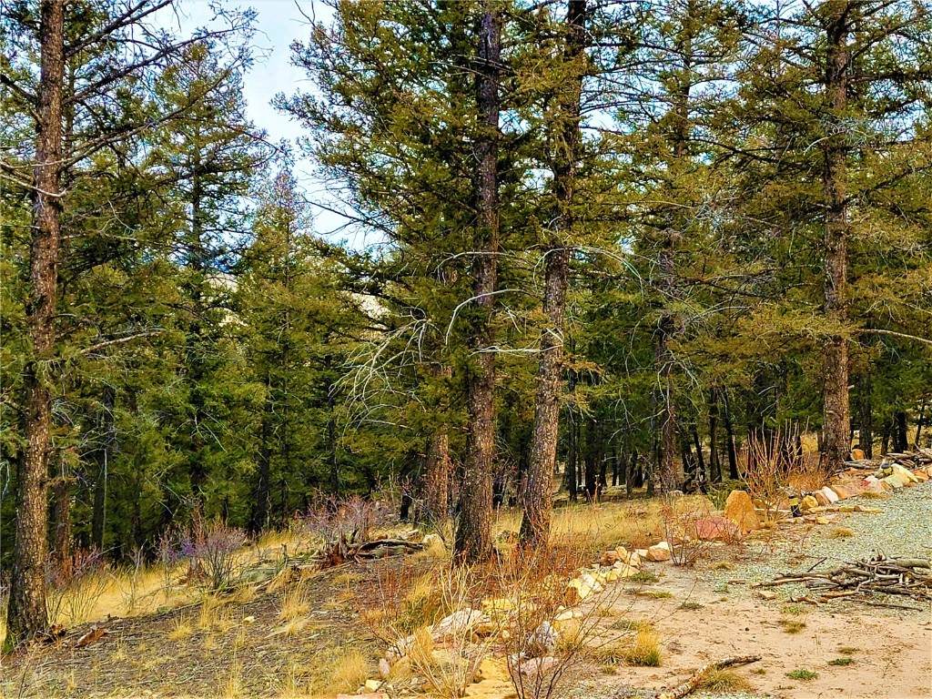 290 Middle Fork Vista - Photo 1