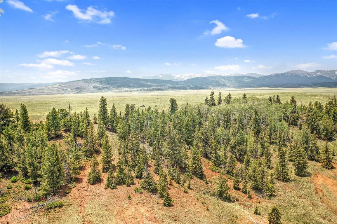 4319 Meier Ridge Trail - Photo 1