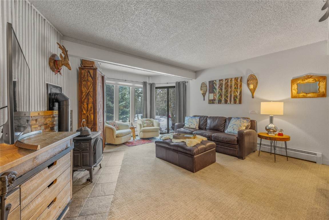 1179 Ski Hill Road - Photo 1