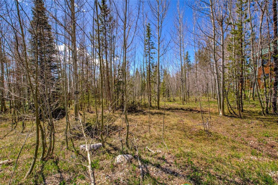 516 Royal Red Bird Drive - Photo 1