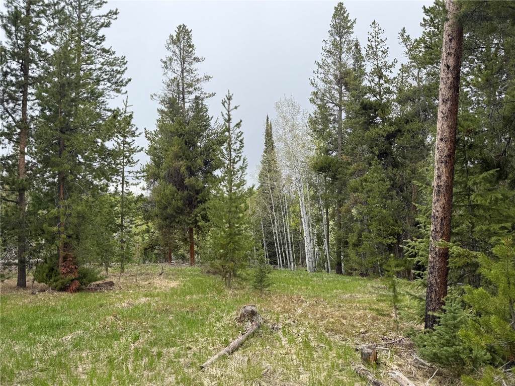 33435 Filly Trail - Photo 1