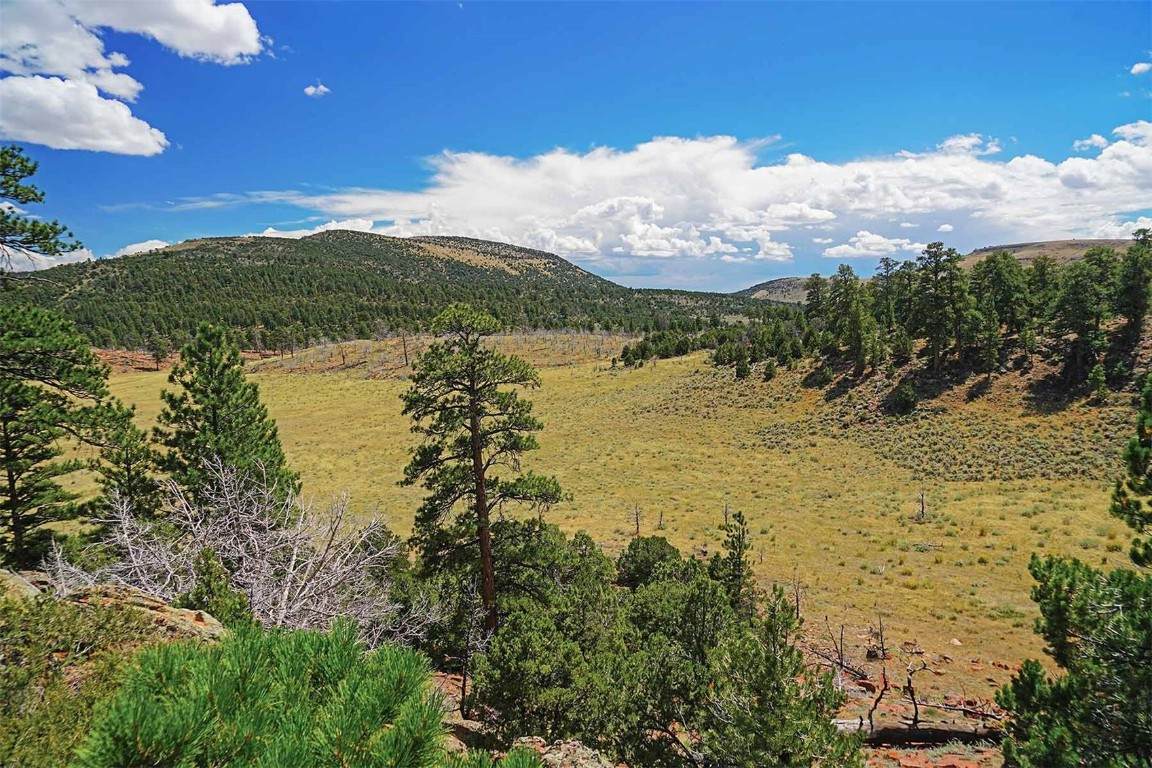 TBD County Road 10 - Photo 1