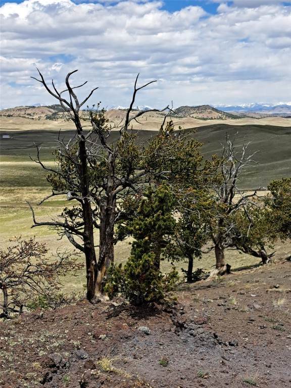 5250 Uxta Trail - Photo 1