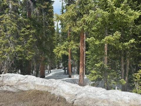 584 Camron Lane - Photo 1