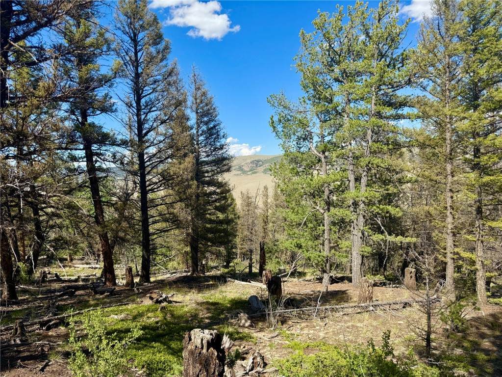 Lot 223 Middle Fork Vista - Photo 1