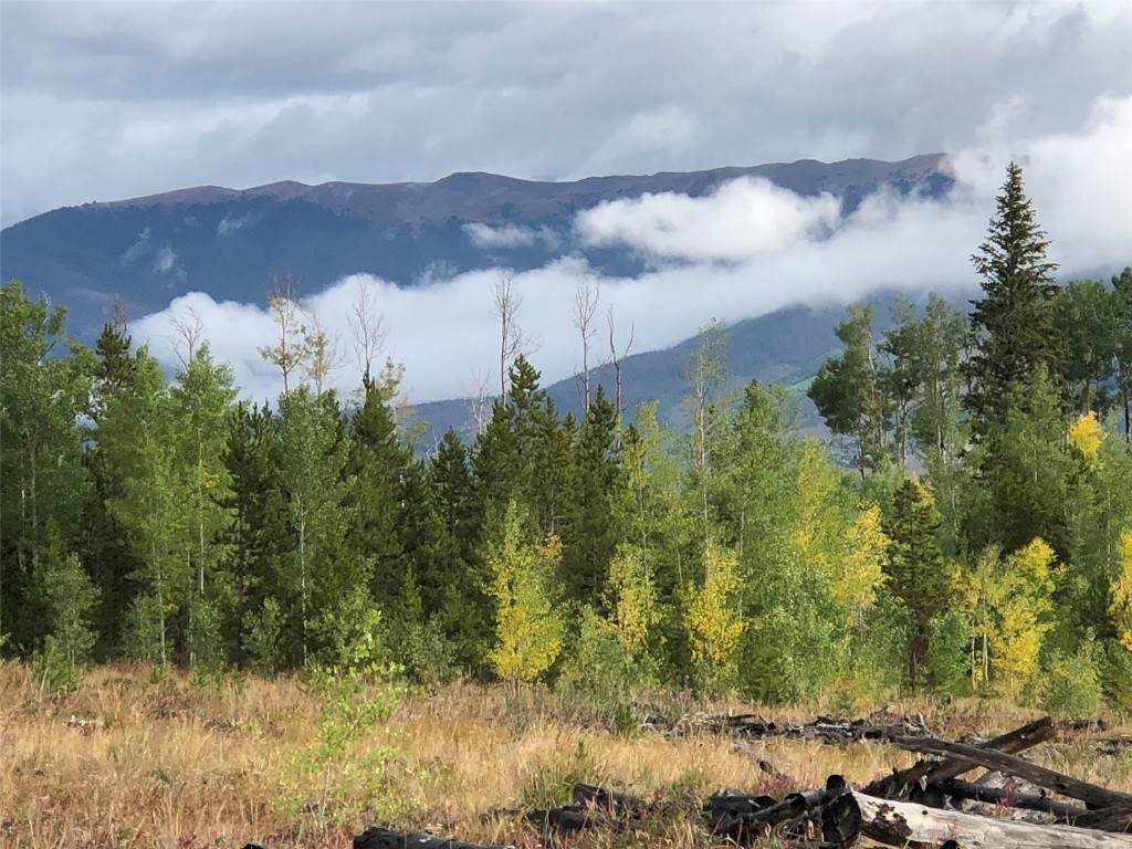 2510 Ryan Gulch Road - Photo 1