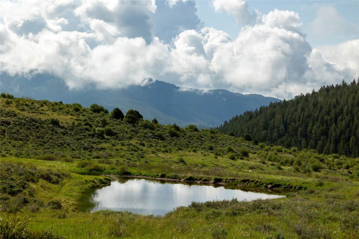 8034 State Highway 131 - Photo 1