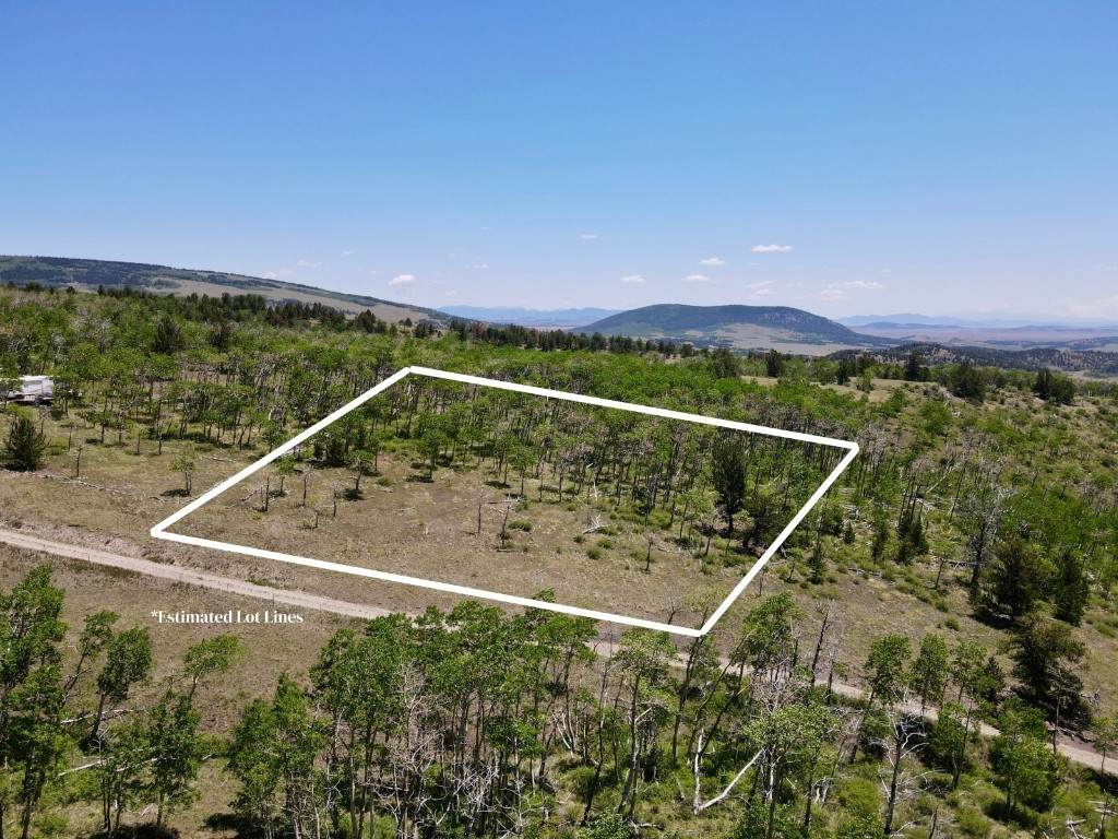 74 Forest Drive - Photo 1