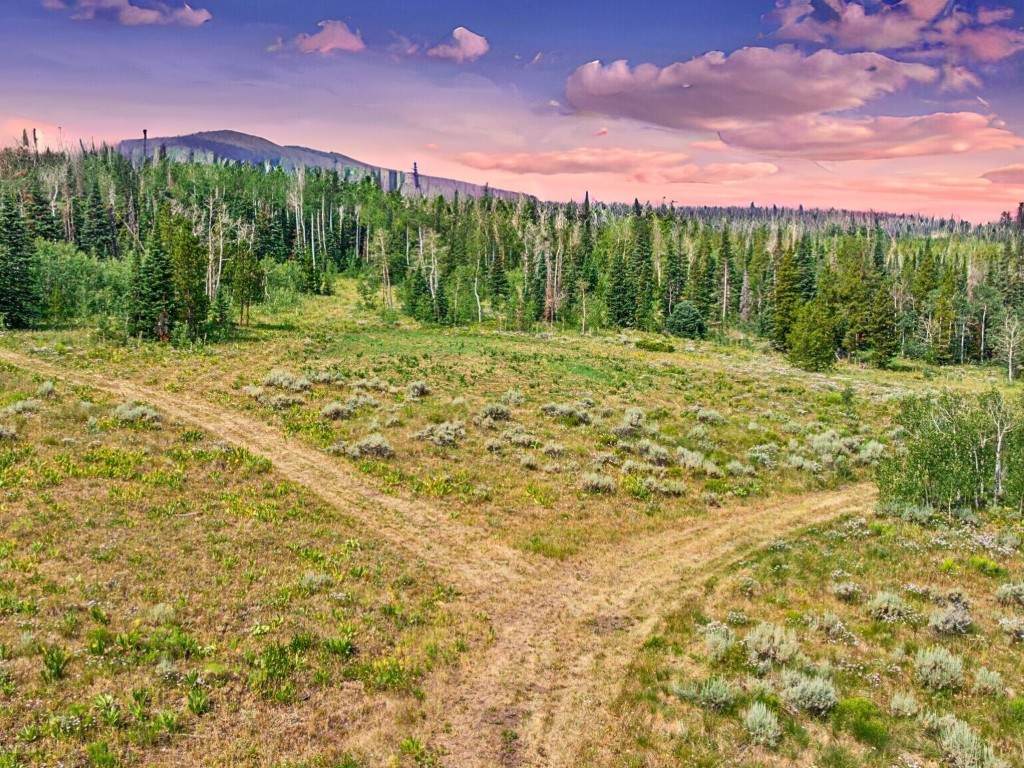 TBD Spring Creek Ranch Rd - Photo 1