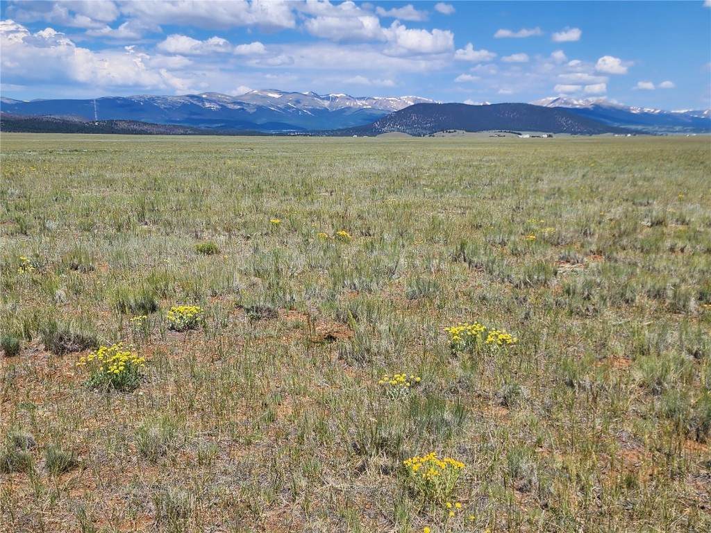 9410 Antero Drive - Photo 1