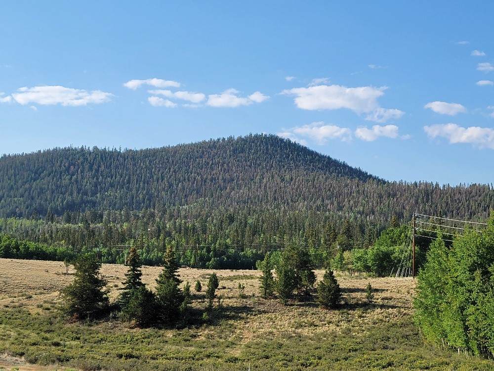 1630 Wampum Lane - Photo 1