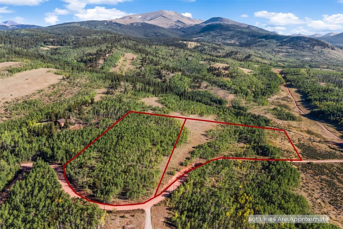 1013 Palmer Peak Drive - Photo 1