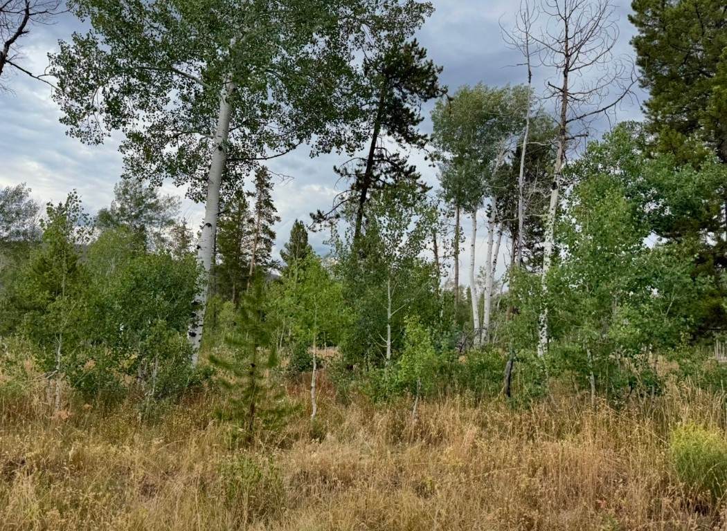 Lot 200 Fargo Way - Photo 1