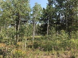 Lot 28 Haywagon Trail - Photo 1