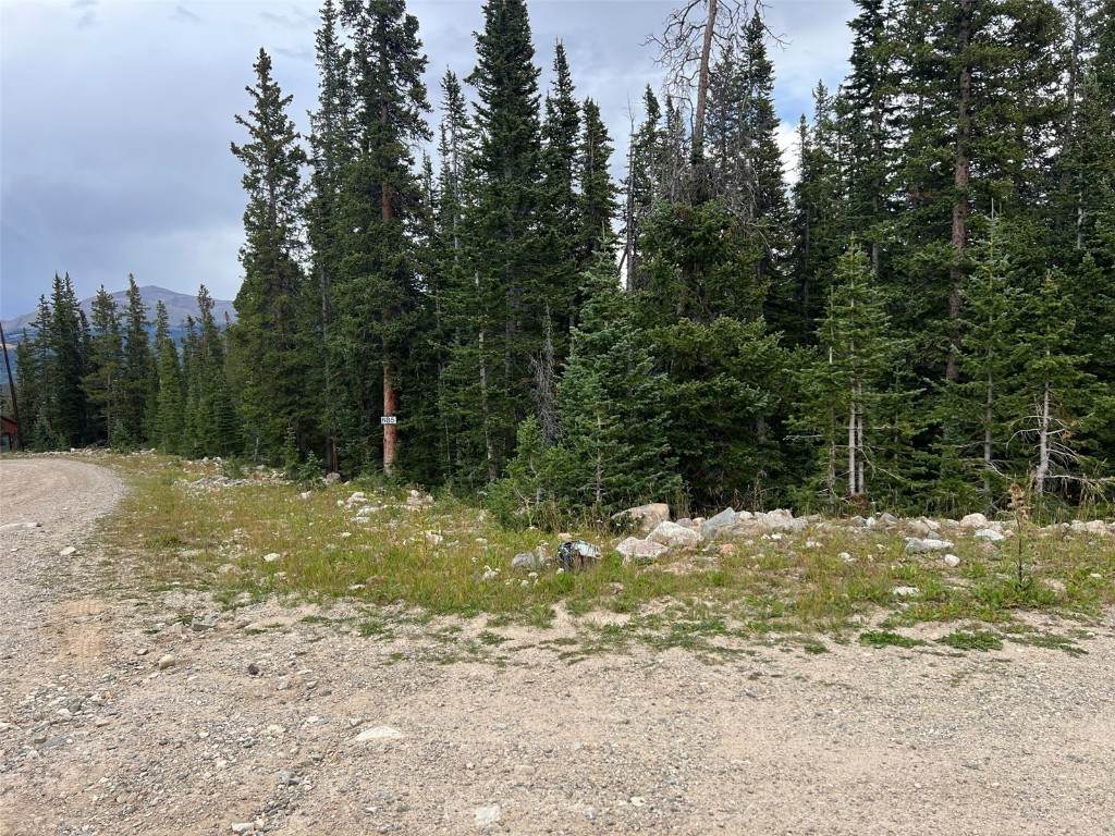 134 El Lobo Lane - Photo 1