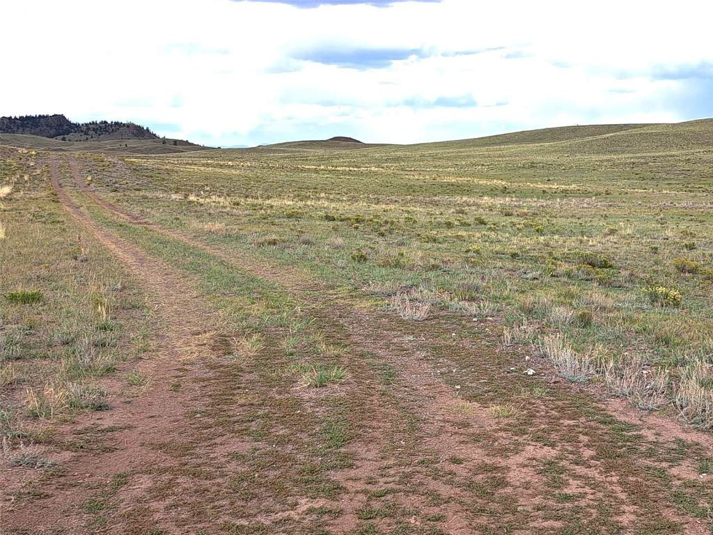 217 Black Gatto Trail - Photo 1