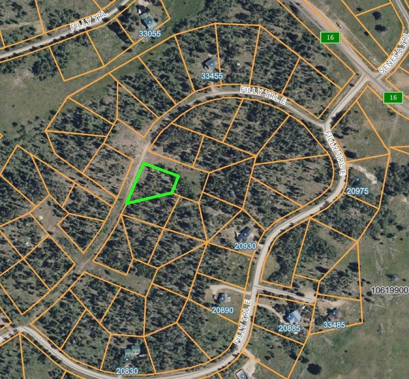 33335 Appaloosa Way - Photo 1