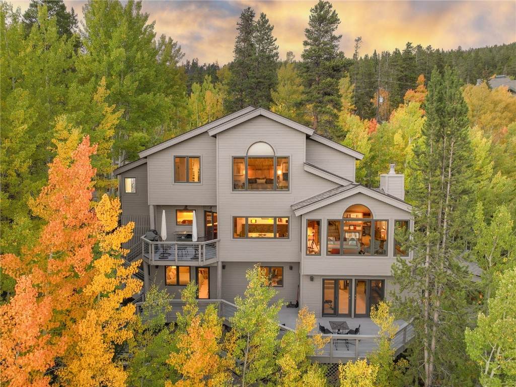 1139 Boreas Pass Road - Photo 1