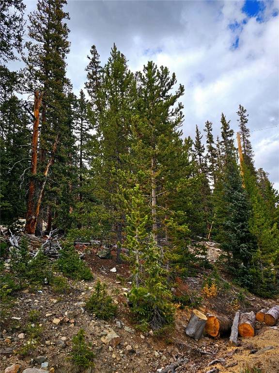 387 El Lobo Lane - Photo 1