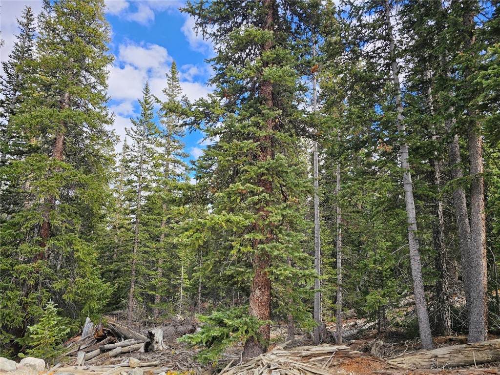 617 Gold Trail Circle - Photo 1