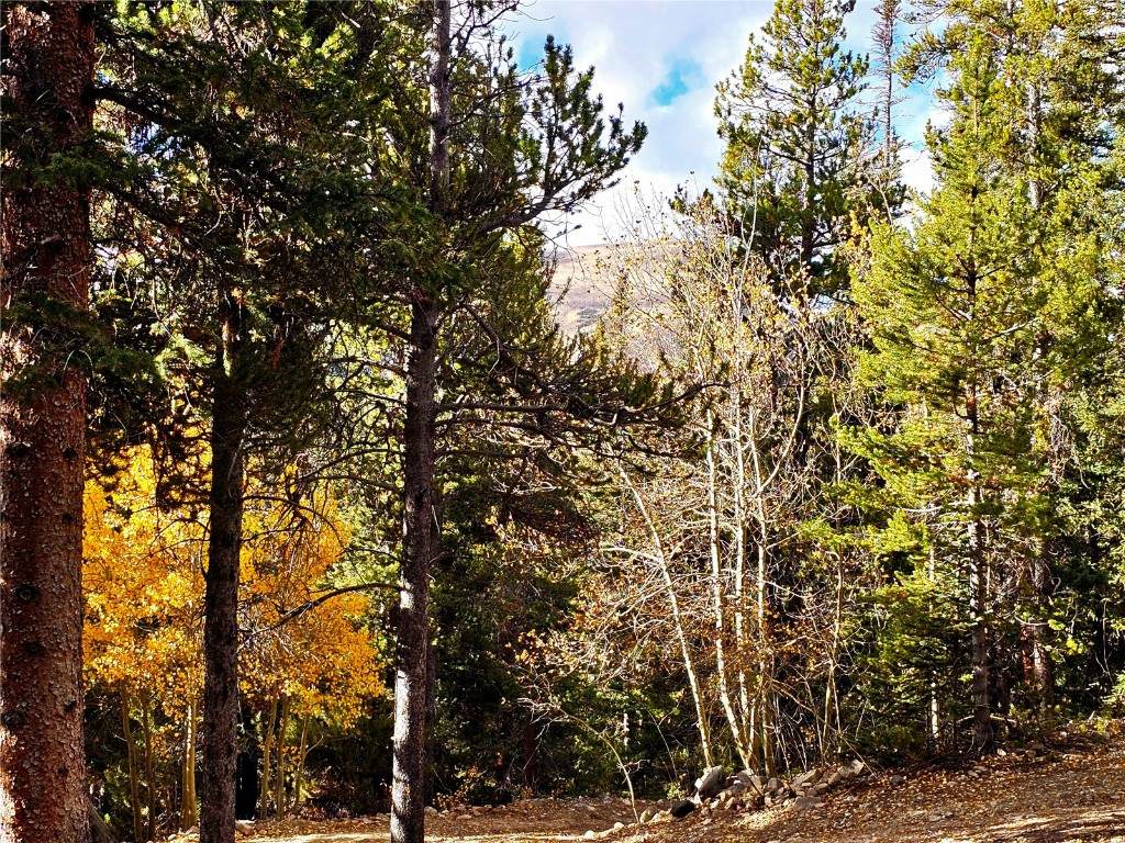 102 Gold Trail - Photo 1