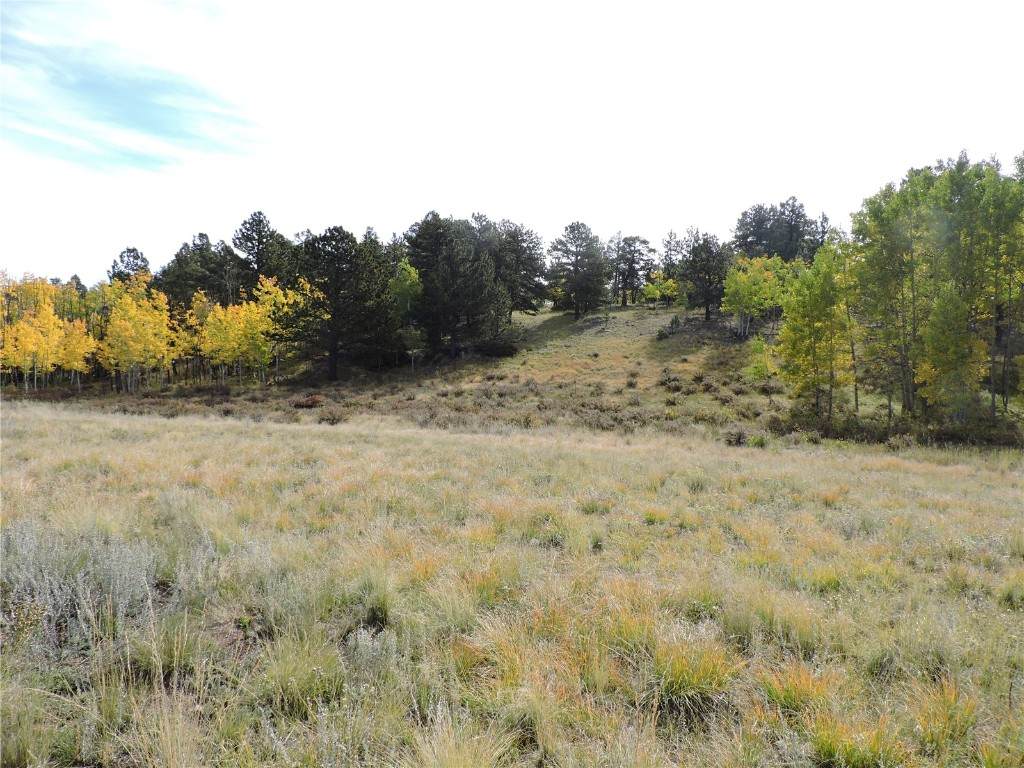 400 Aspen Way Drive - Photo 1