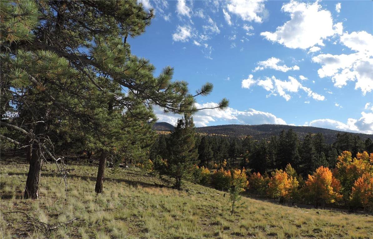 5113 Campfire Road - Photo 1