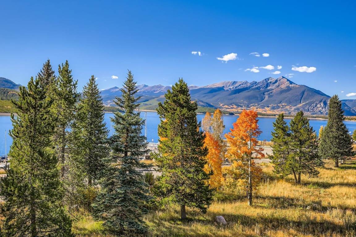 160 La Bonte Street - Photo 1