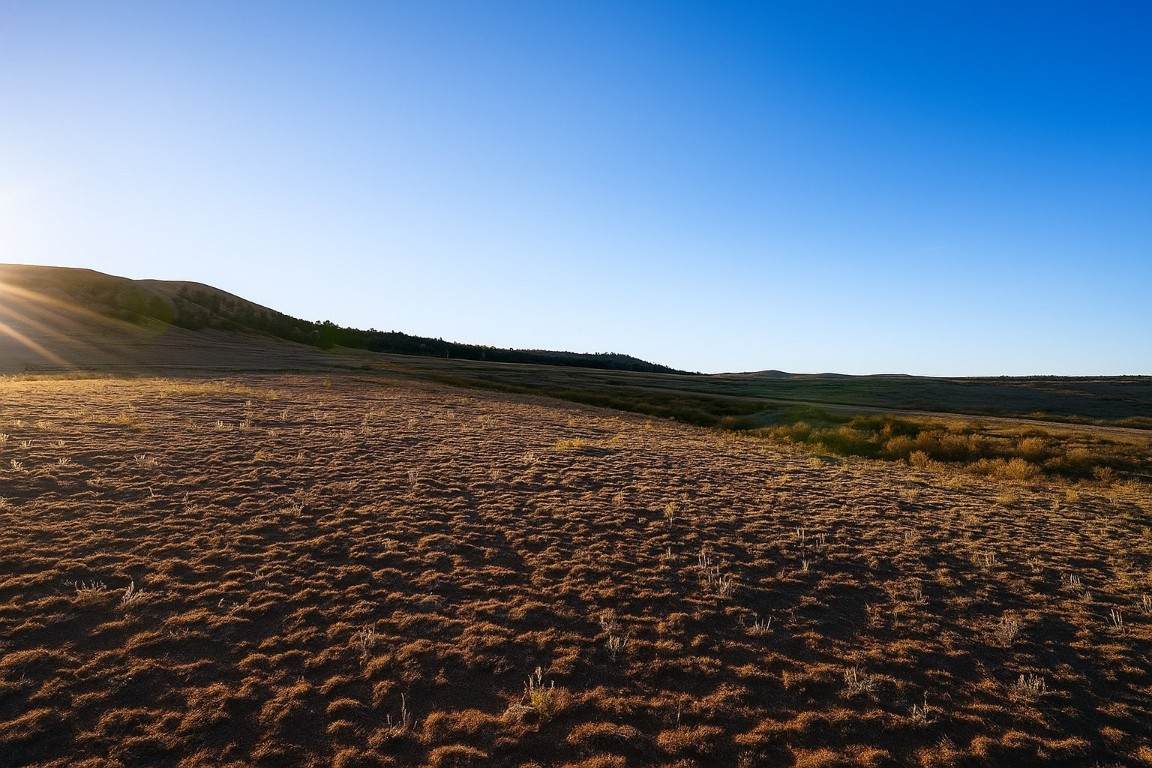 6030 Larimer Road - Photo 1