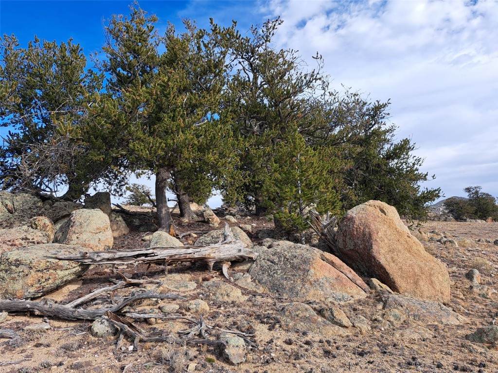 1282 Ute Trace - Photo 1