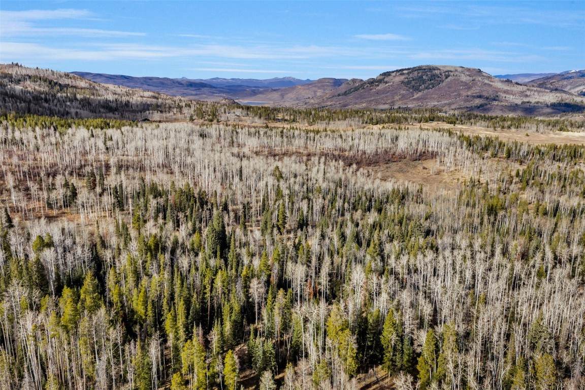 20331 King Bolt Way - Photo 1