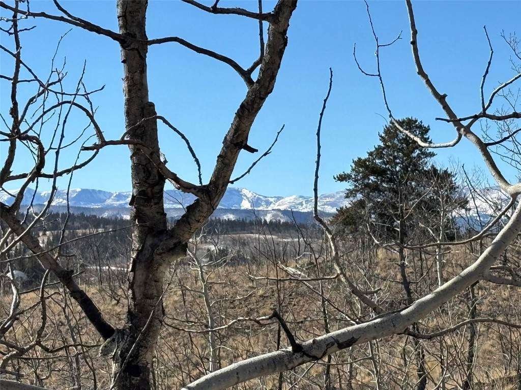 29 Strelets Way - Photo 1