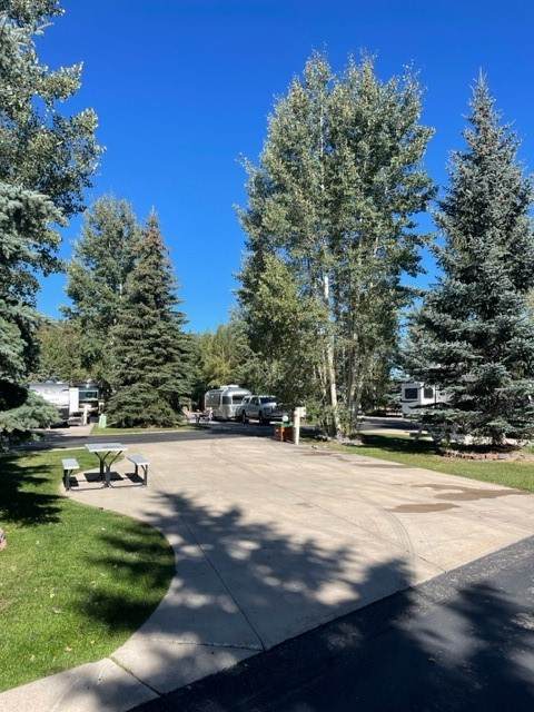 85 Revett #302 Drive - Photo 1