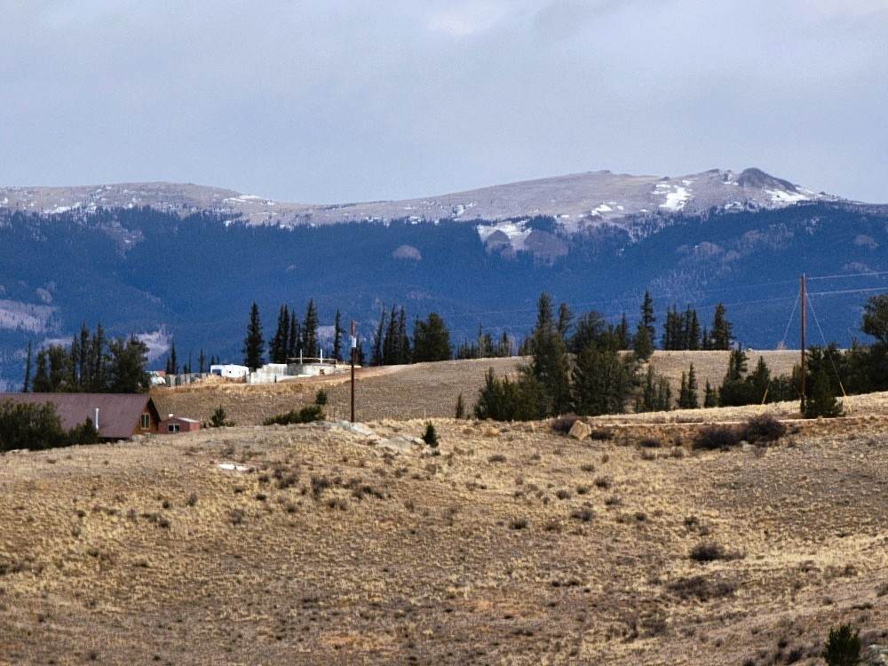 53 Cobb Lane - Photo 1