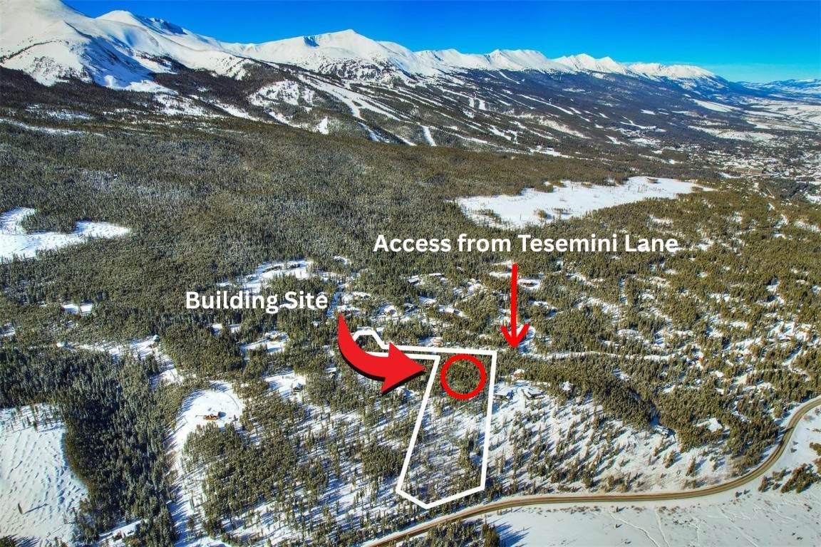 62 Tesemini Lane - Photo 1