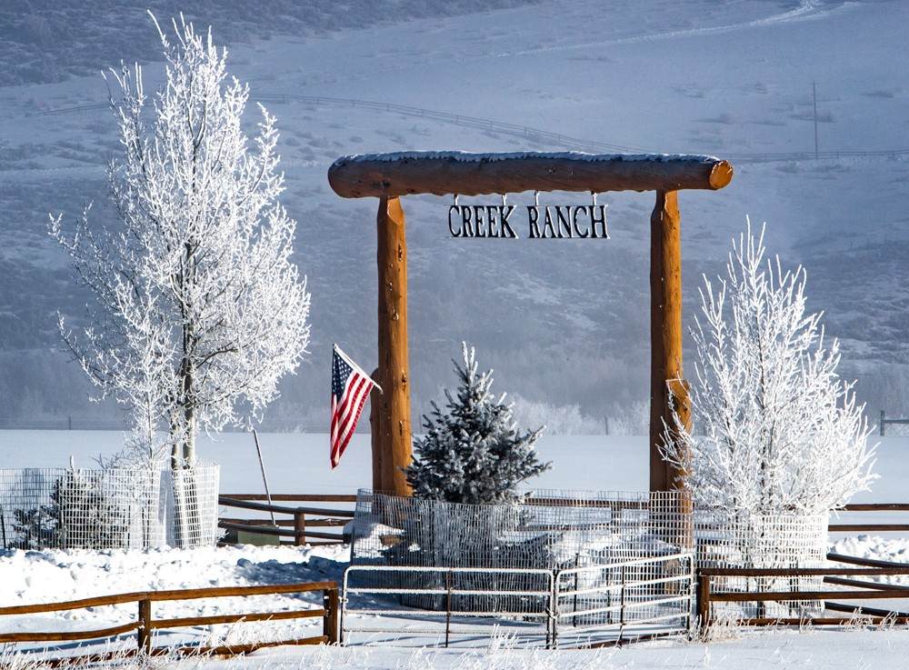 32080 Mack Lane - Photo 1