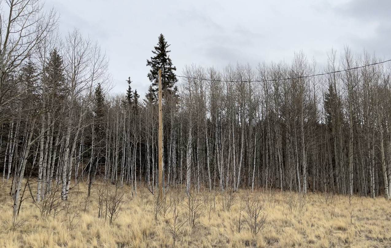 688 Ouray Trail - Photo 1