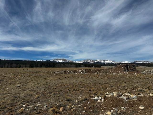 TBD Stone Creek - Photo 1