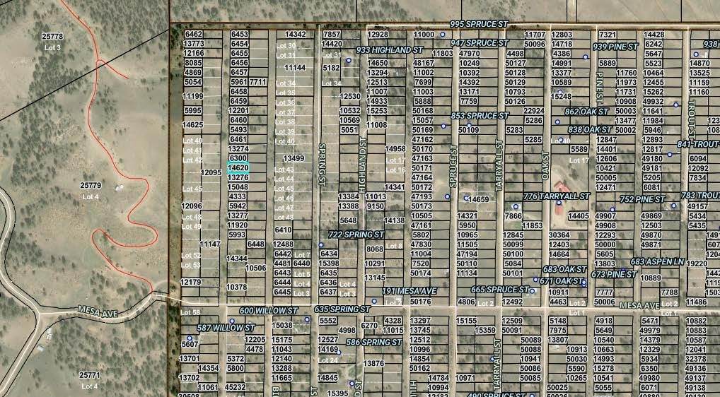 000 Willow Street - Photo 1