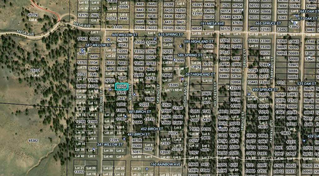 00002 Birch Street - Photo 1